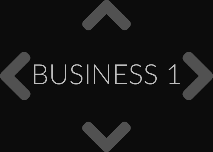 business-01