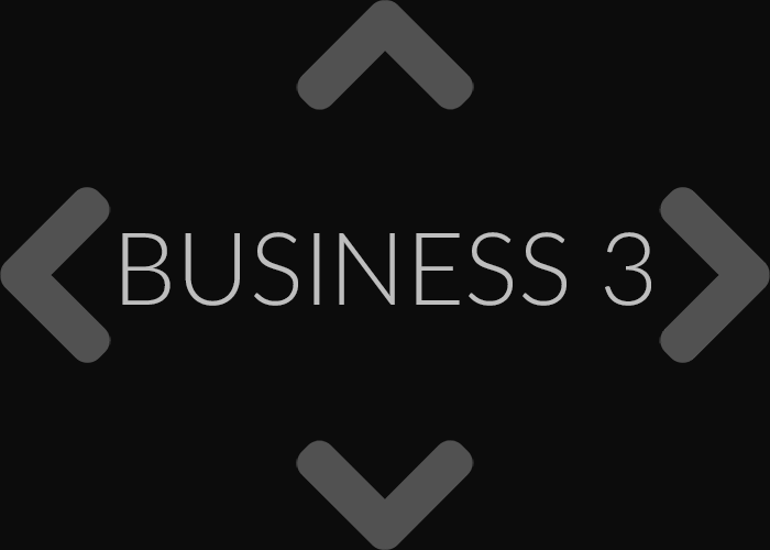 business-03